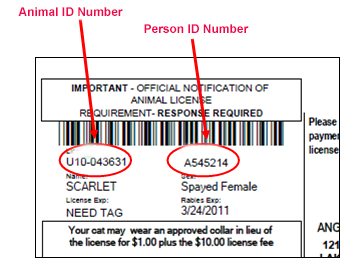 Rabies id hot sale tag