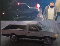 Suspect and vehicle Suspect and vehicle