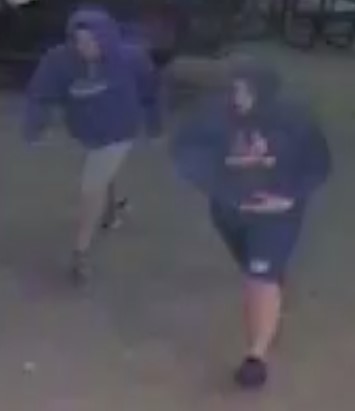 BAMS suspects