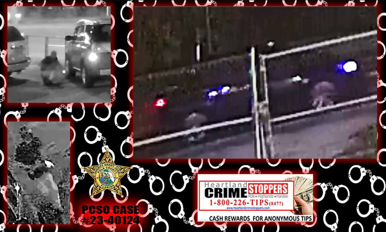 SUSPECT AND VEHICLE