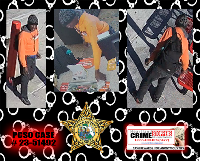 Suspect photo suspect photo