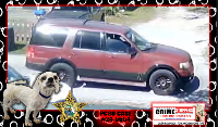suspect vehicle suspect vehicle