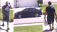 Suspect and vehicle Suspect and vehicle