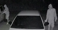 Burglary suspects
