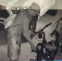 Suspect photo suspect photo
