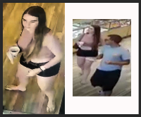 Theft Suspect