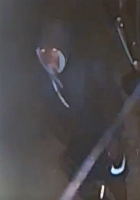 Suspect in action suspect in action
