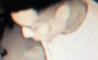 Burglary Suspect