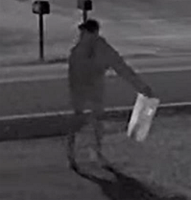 Campaign Sign Thief