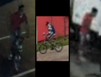 Theft suspect Theft suspect