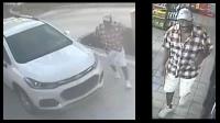 Suspect and vehicle Suspect and vehicle
