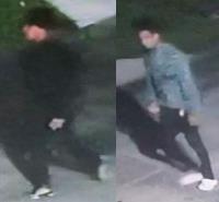 suspects suspects