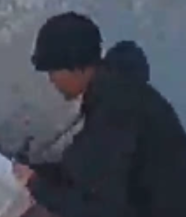 suspect