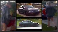 Suspect and vehicle Suspect and vehicle
