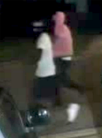 Burglary suspects