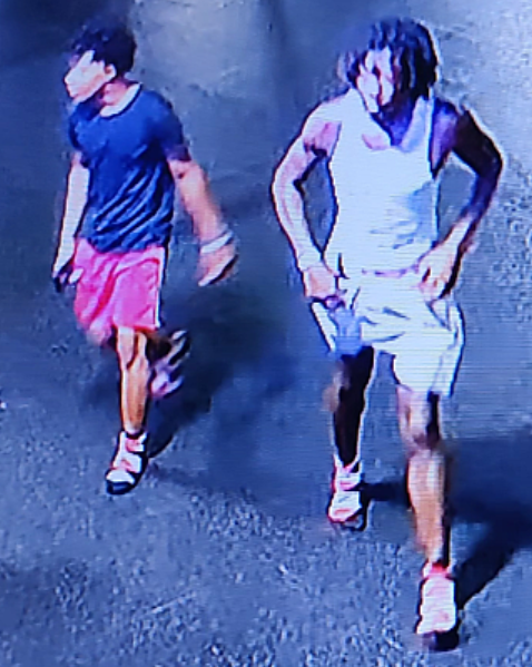 suspects