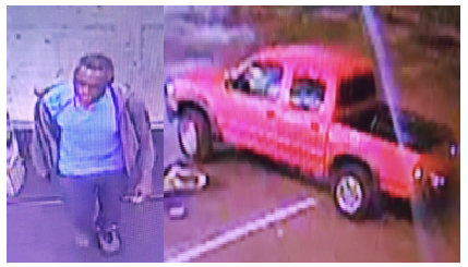 Shoplifting suspect