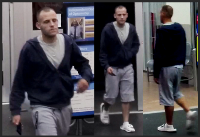 Theft suspect