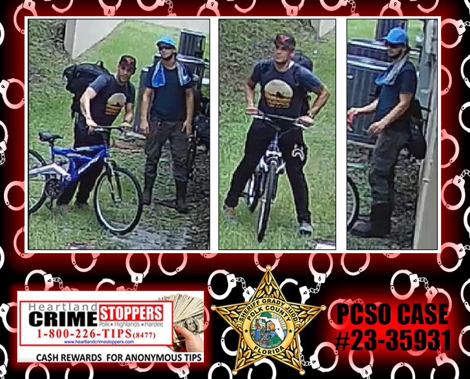 2 suspects