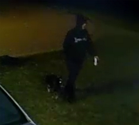 Picture of theft suspect Picture of theft suspect