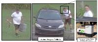 Suspect and vehicle Suspect and vehicle