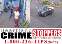 Theft suspects Theft suspects
