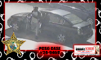 Suspect and vehicle Suspect and vehicle