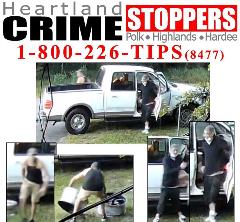 rim theft rim theft