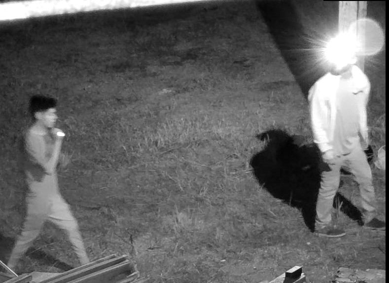 Frostproof suspects game camera theft Frostproof suspects game camera theft