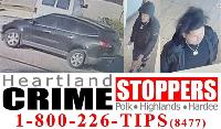 Suspect and car Suspect and car