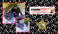 suspects suspects