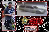 Suspect and vehicle Suspect and vehicle